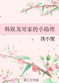 Han Yulong's little assistant