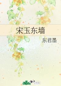Song Yudong Wall